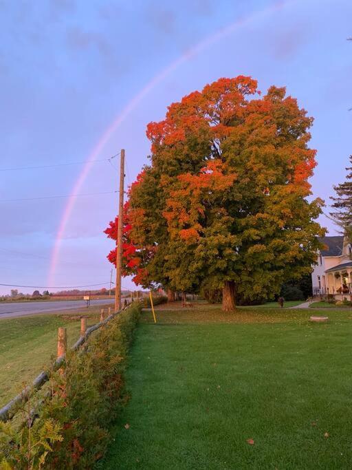 The Barns Of Brighton Near Prince Edward County エクステリア 写真